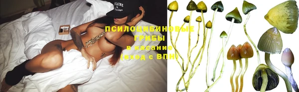 ПСИЛОЦИБИНОВЫЕ ГРИБЫ Волосово