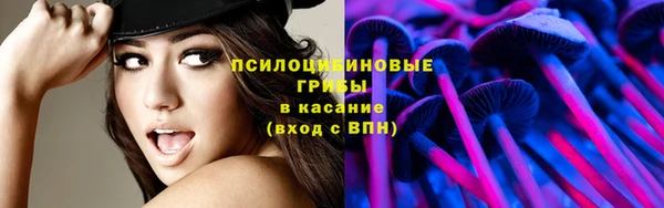 мдпв Волоколамск