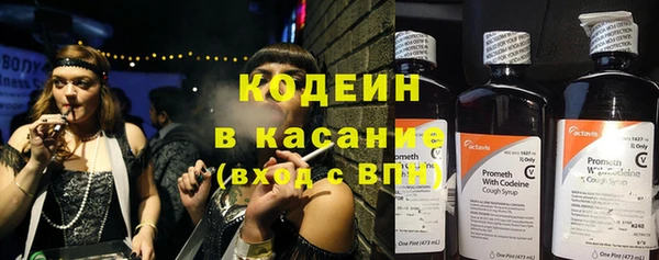 ПСИЛОЦИБИНОВЫЕ ГРИБЫ Волосово