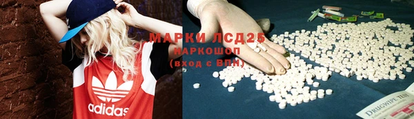 ПСИЛОЦИБИНОВЫЕ ГРИБЫ Волосово